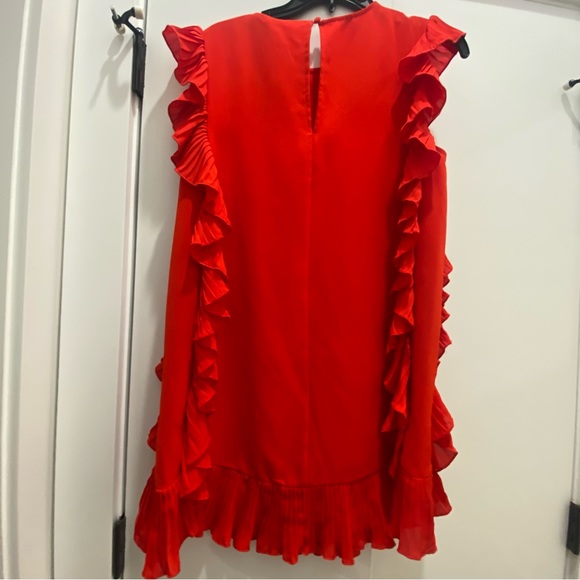 Red Ruffle Mini Dress - Picture 3 of 5